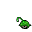 Gazer