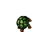 Ninja Turtle