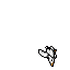 Seagull