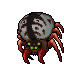 Wailing Widow