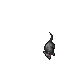 Cave Rat