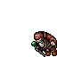 Erayo