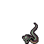 Cobra