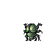 Scarab